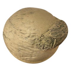French Terracotta Sculpture, circa 1960s