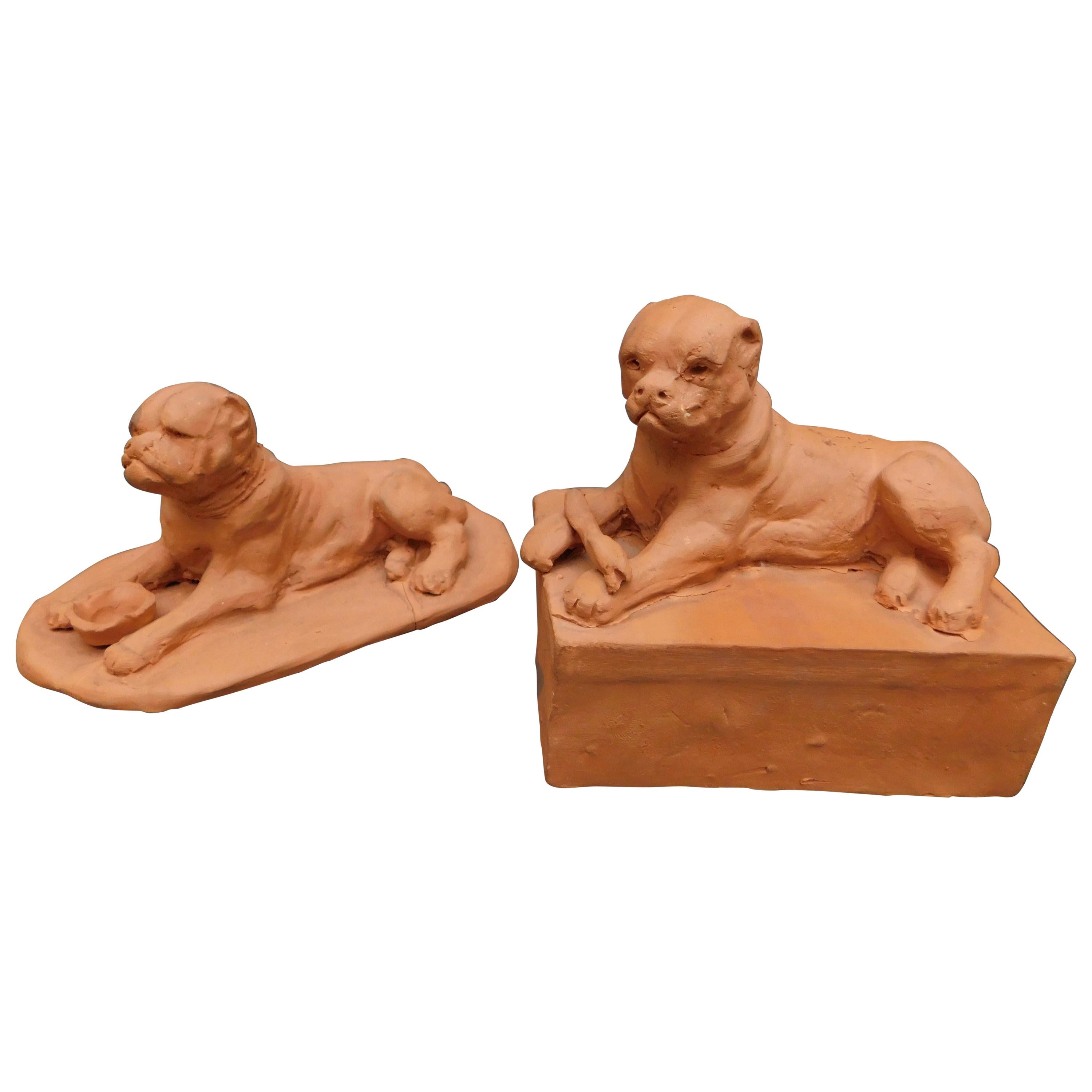 French Terracotta Sculptures of Mastiff Dogs