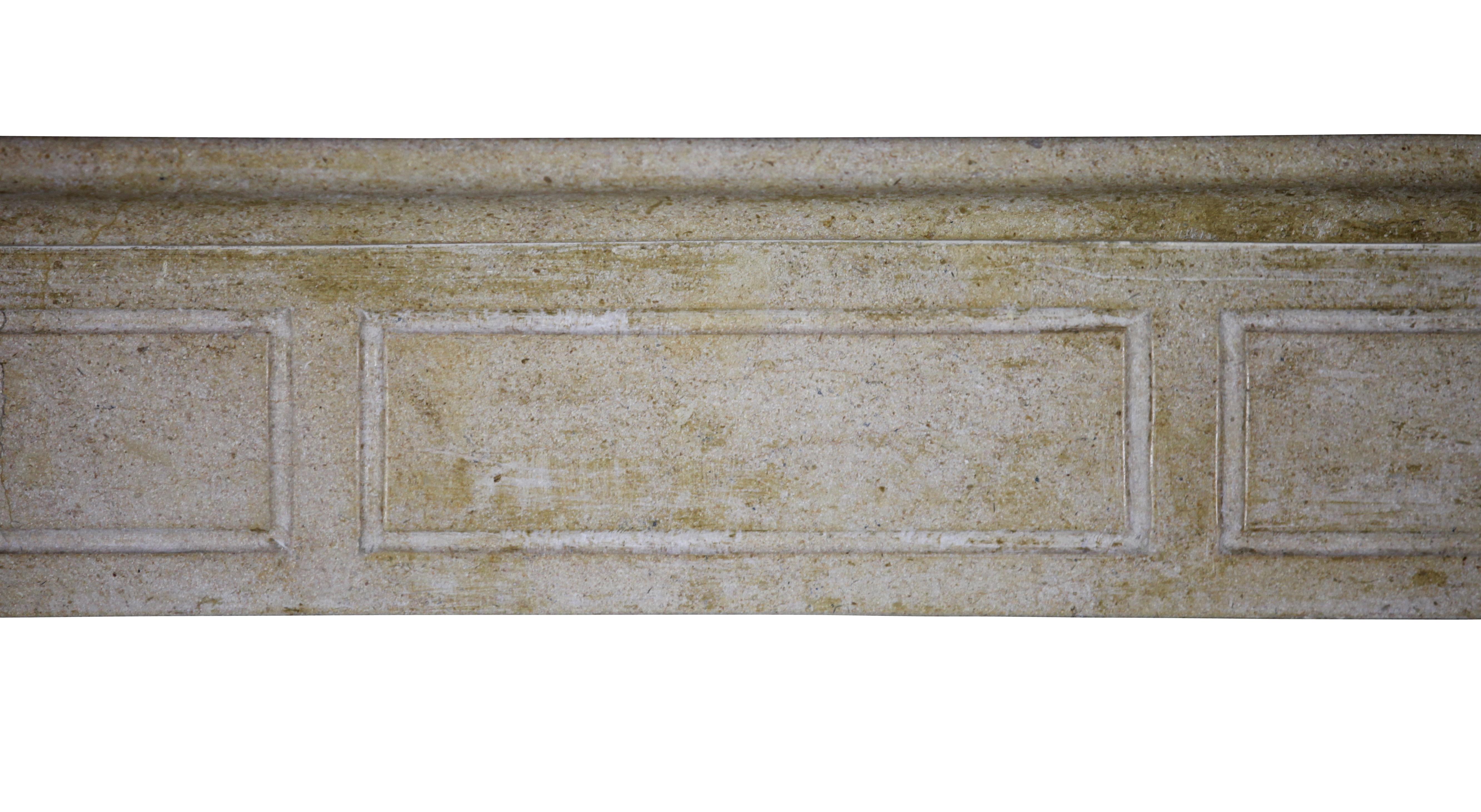 French Timeless Burgundy Region Fireplace Surround In Limestone For Sale 8