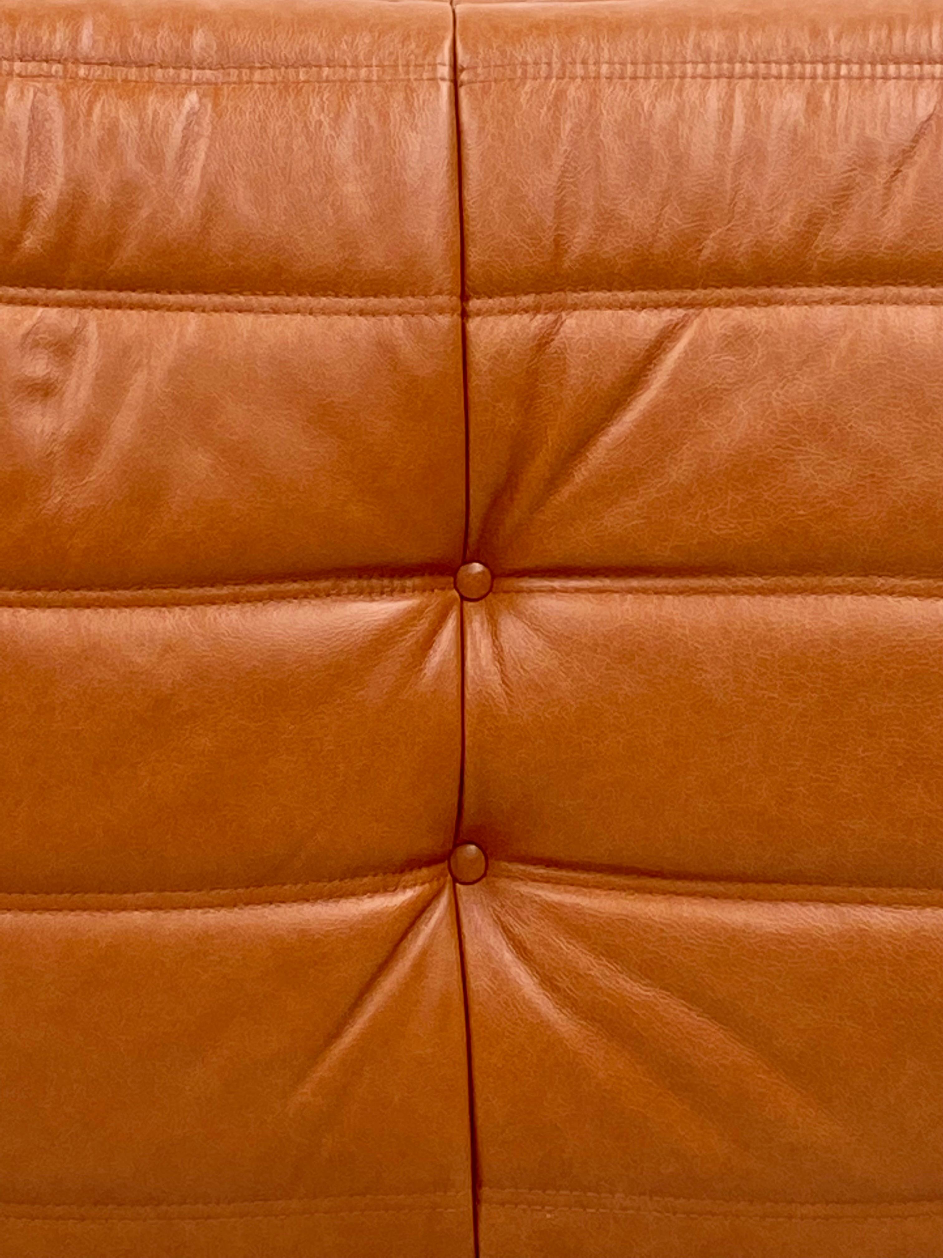 Fabric French Togo Chair and Ottoman in Cognac Leather by M. Ducaroy for Ligne Roset