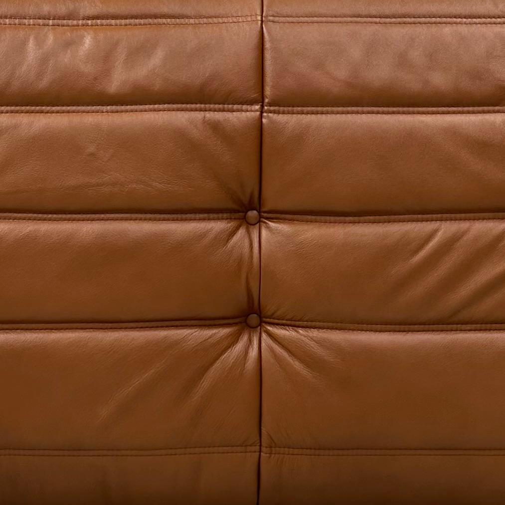 French Togo Sofa in Cognac Leather by Michel Ducaroy for Ligne Roset. For Sale 7