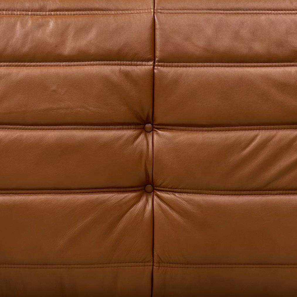 French Togo Sofa in Cognac Leather by Michel Ducaroy for Ligne Roset. 4