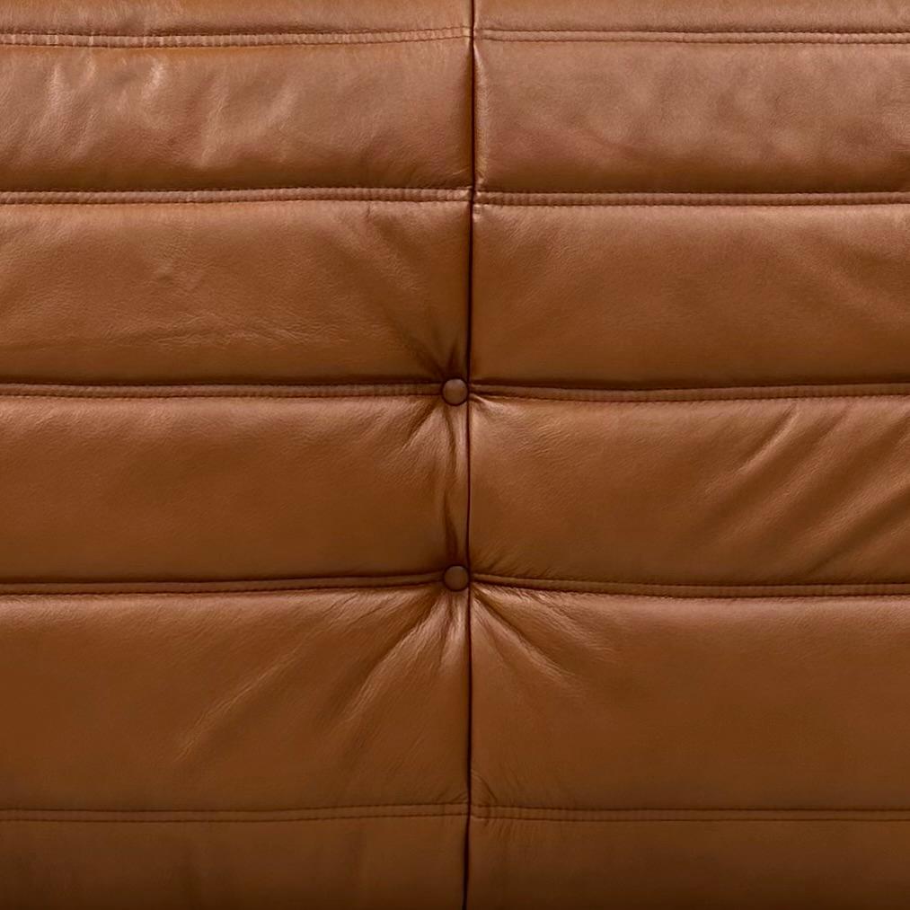 Canapé Togo français en cuir cognac de Michel Ducaroy pour Ligne Roset. en vente 5