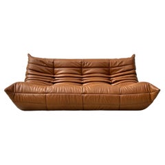 French Togo Sofa in Cognac Leather by Michel Ducaroy for Ligne Roset.