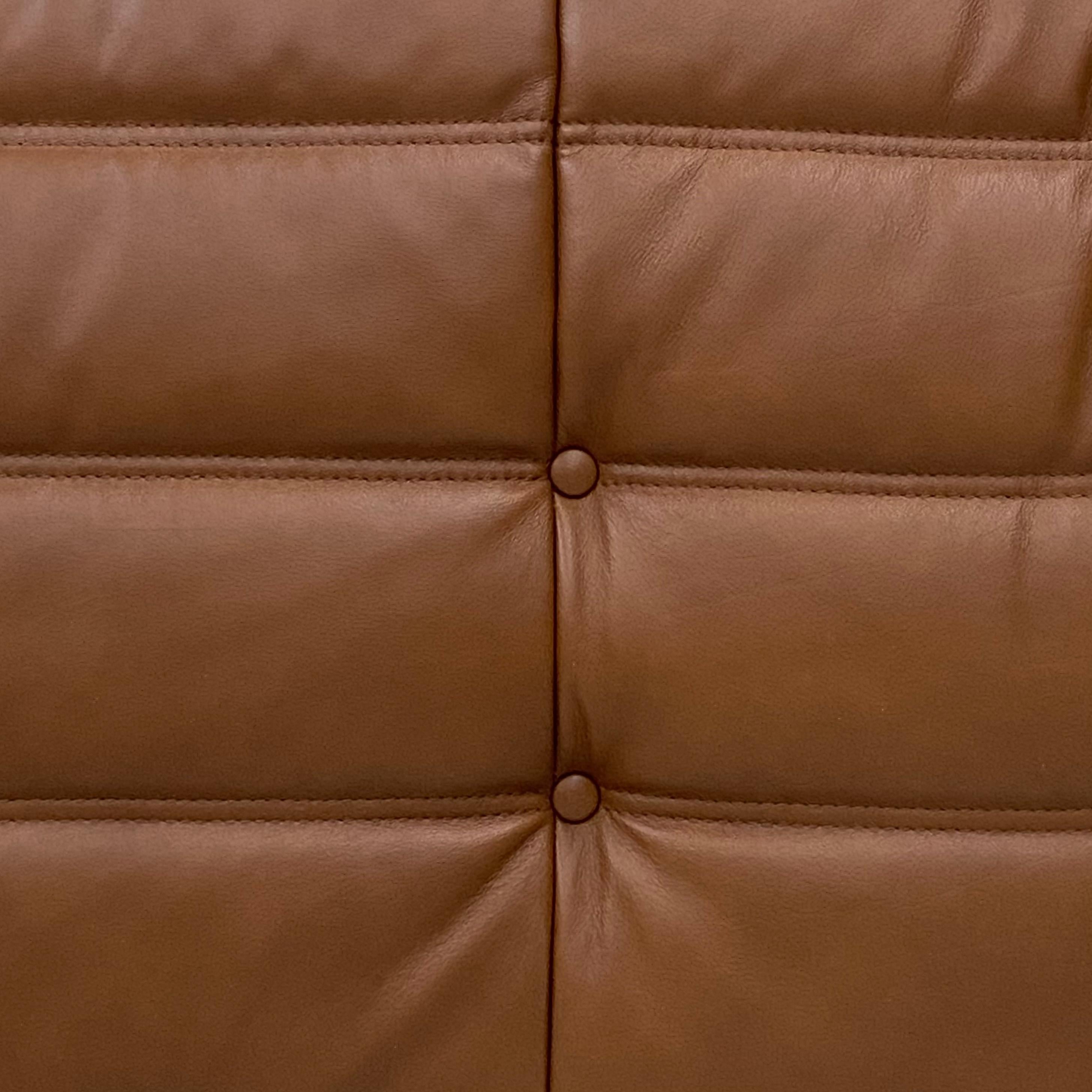 French Togo Sofa in Dark Cognac Leather by M. Ducaroy for Ligne Roset, 1970s 2