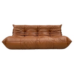 French Togo Sofa in Dark Cognac Leather by M. Ducaroy for Ligne Roset, 1970s