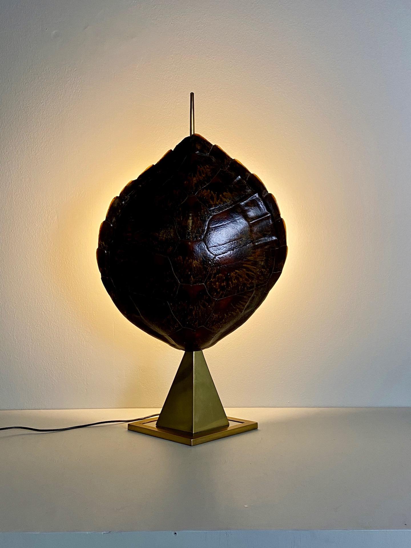 French tortoiseshell and brass table lamp, circa 1950.