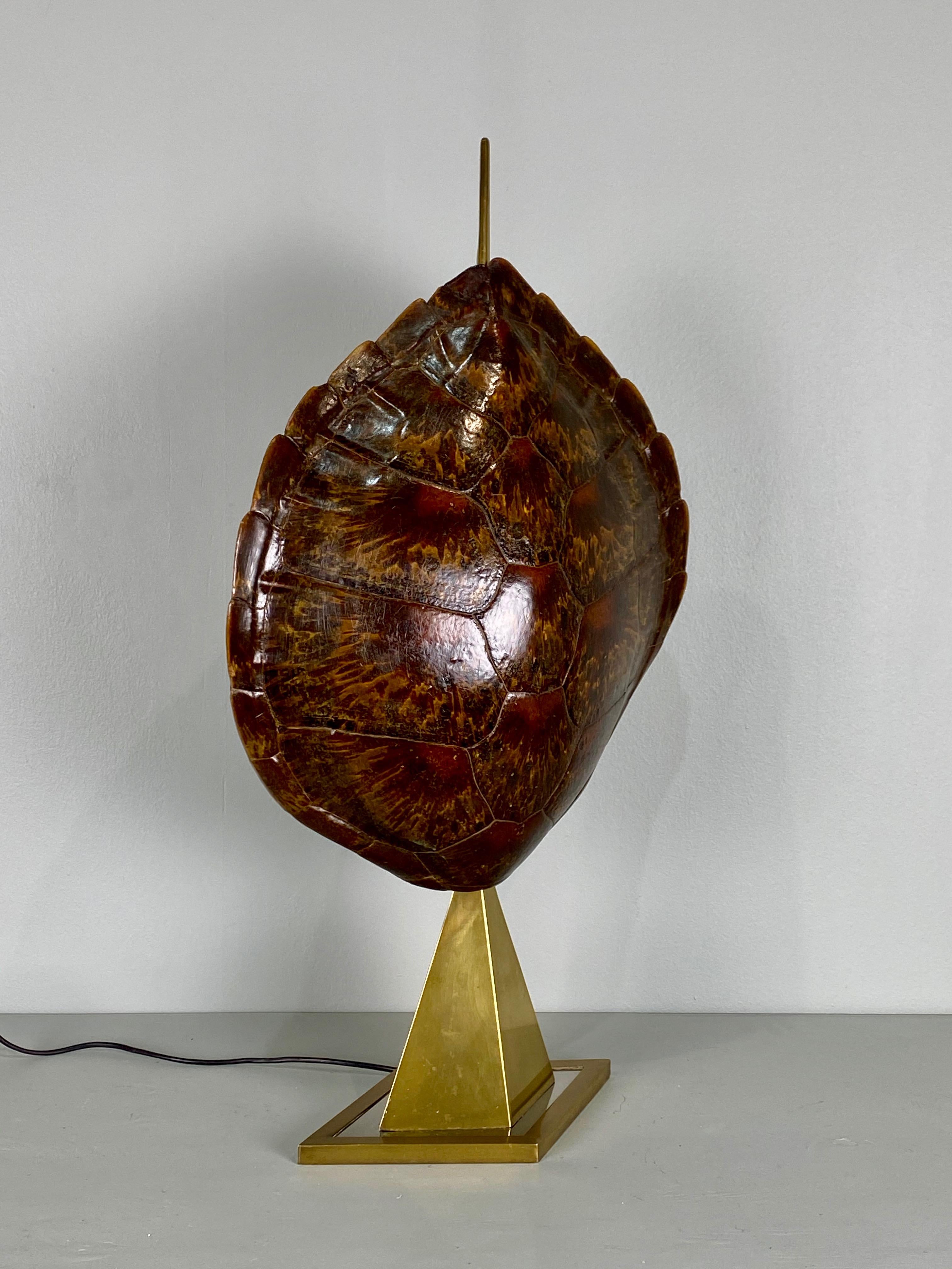 Mid-Century Modern French Tortoise Shell and Brass Table Lamp, circa 1950 For Sale