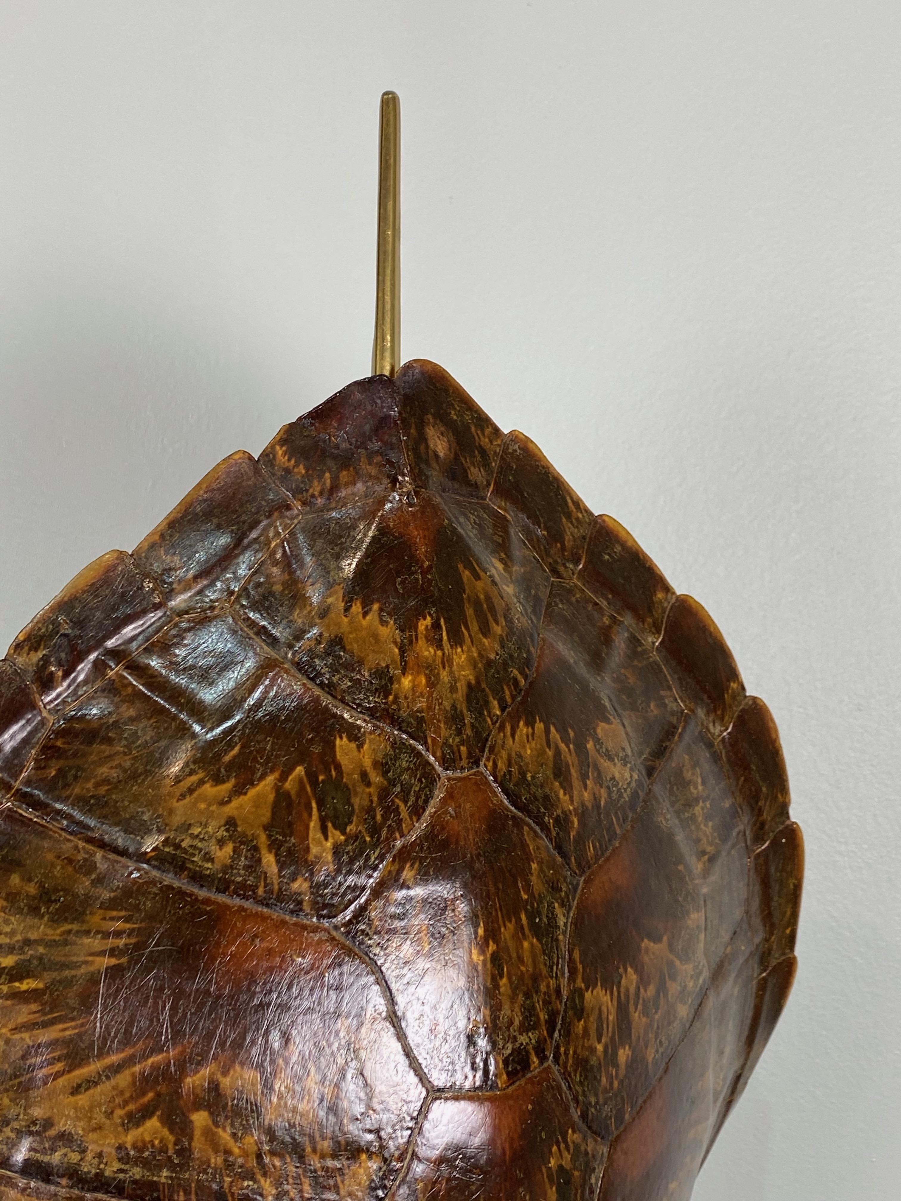 20th Century French Tortoise Shell and Brass Table Lamp, circa 1950 For Sale