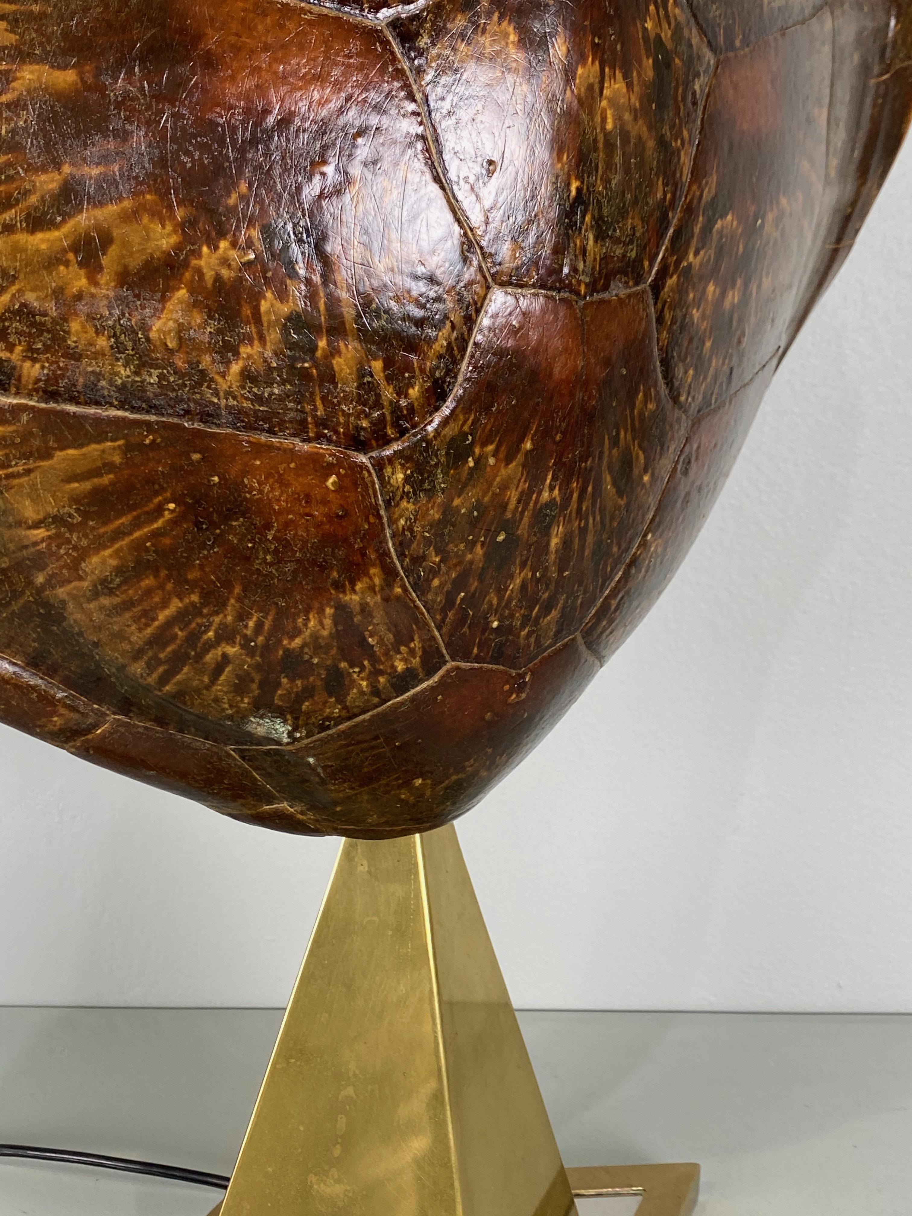 20th Century French Tortoise Shell and Brass Table Lamp, circa 1950 For Sale