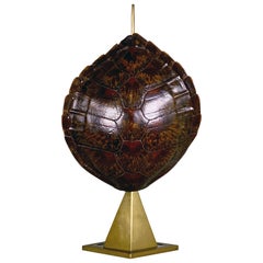 Retro French Tortoise Shell and Brass Table Lamp, circa 1950