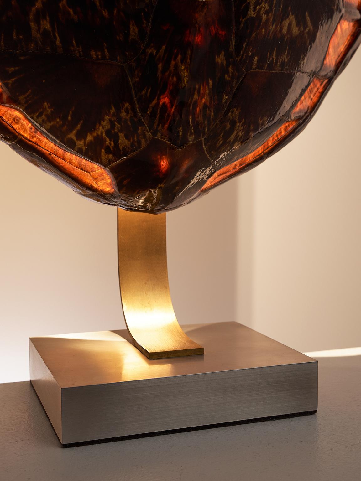 tortoise shell lamp