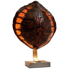 French Tortoise Shell and Brass Table Lamp, circa 1970