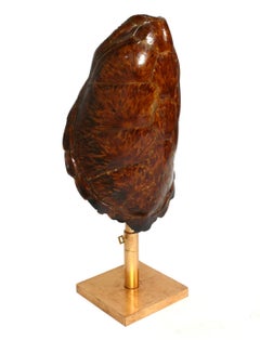 French Tortoise Shell and Gilt Metal Lamp