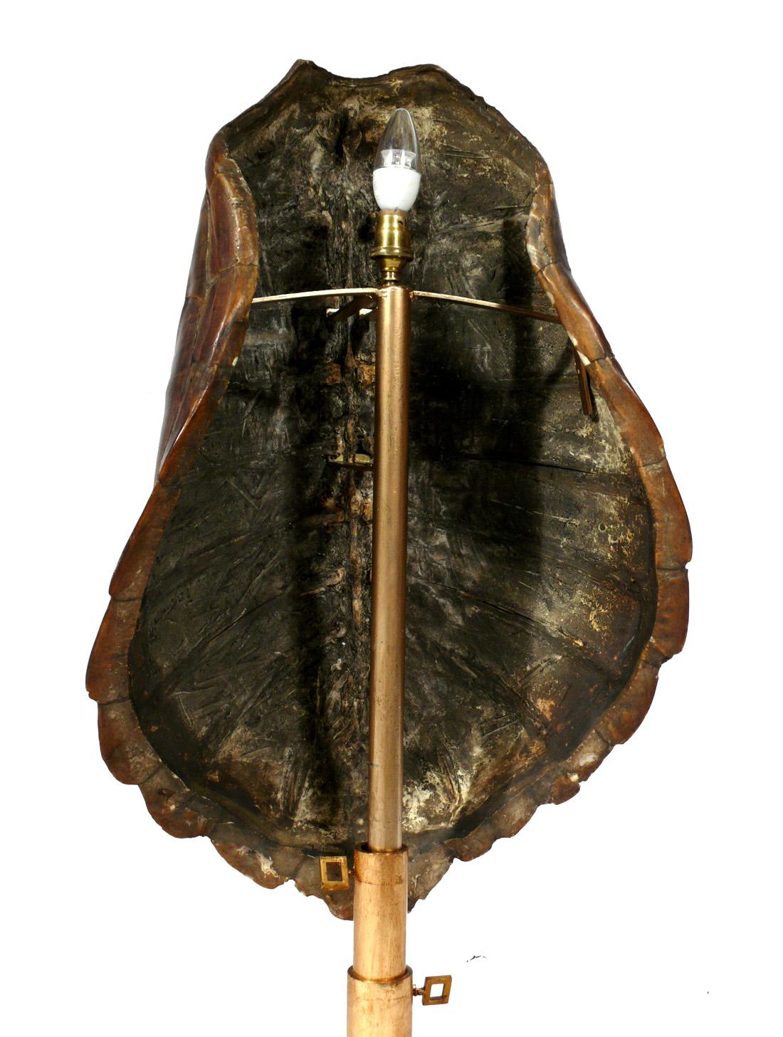 Late 20th Century French Tortoise Shell and Gilt Metal Lamp