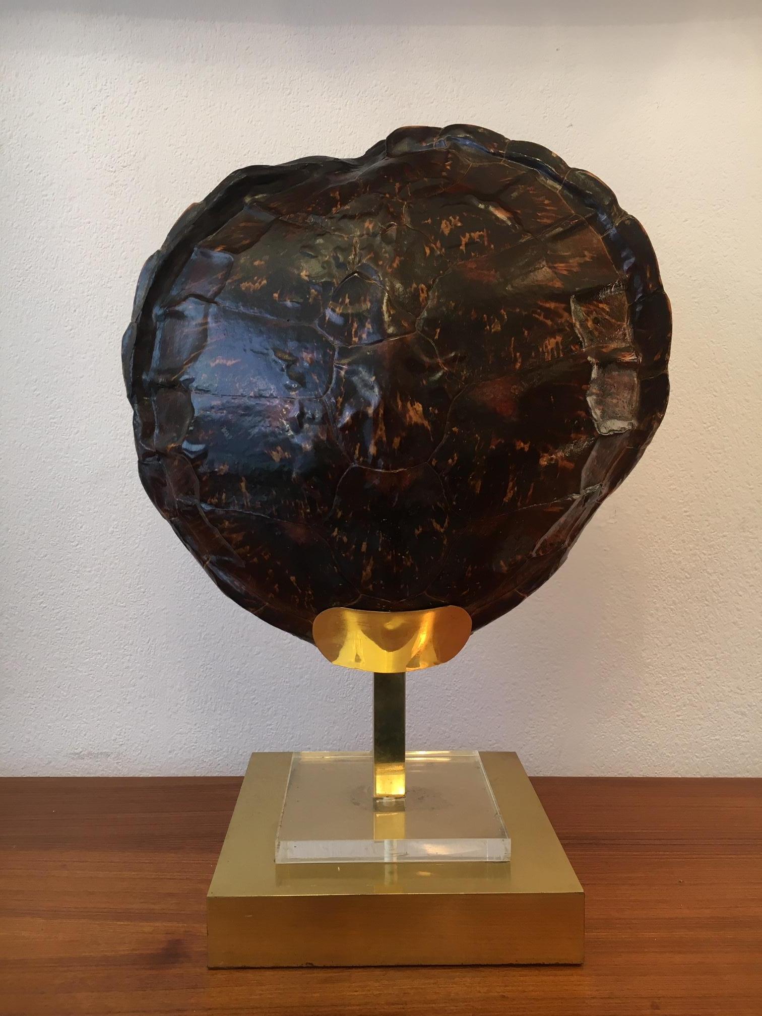 Lampe de table française en écaille de tortue, laiton et acrylique, circa 1970
Hautement décoratif
Livré avec un certificat CITES pour l'exportation.
Décoration française typique des années 1970 avec les lampes palmiers ou bambous de la Maison