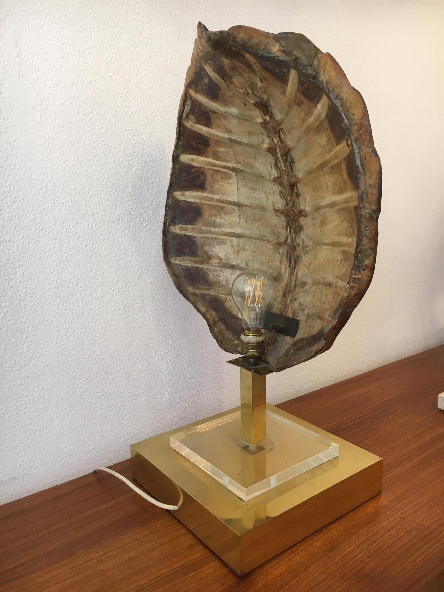 Fin du 20e siècle Lampe de bureau française en écaille de tortue et écaille de tortue, vers 1970