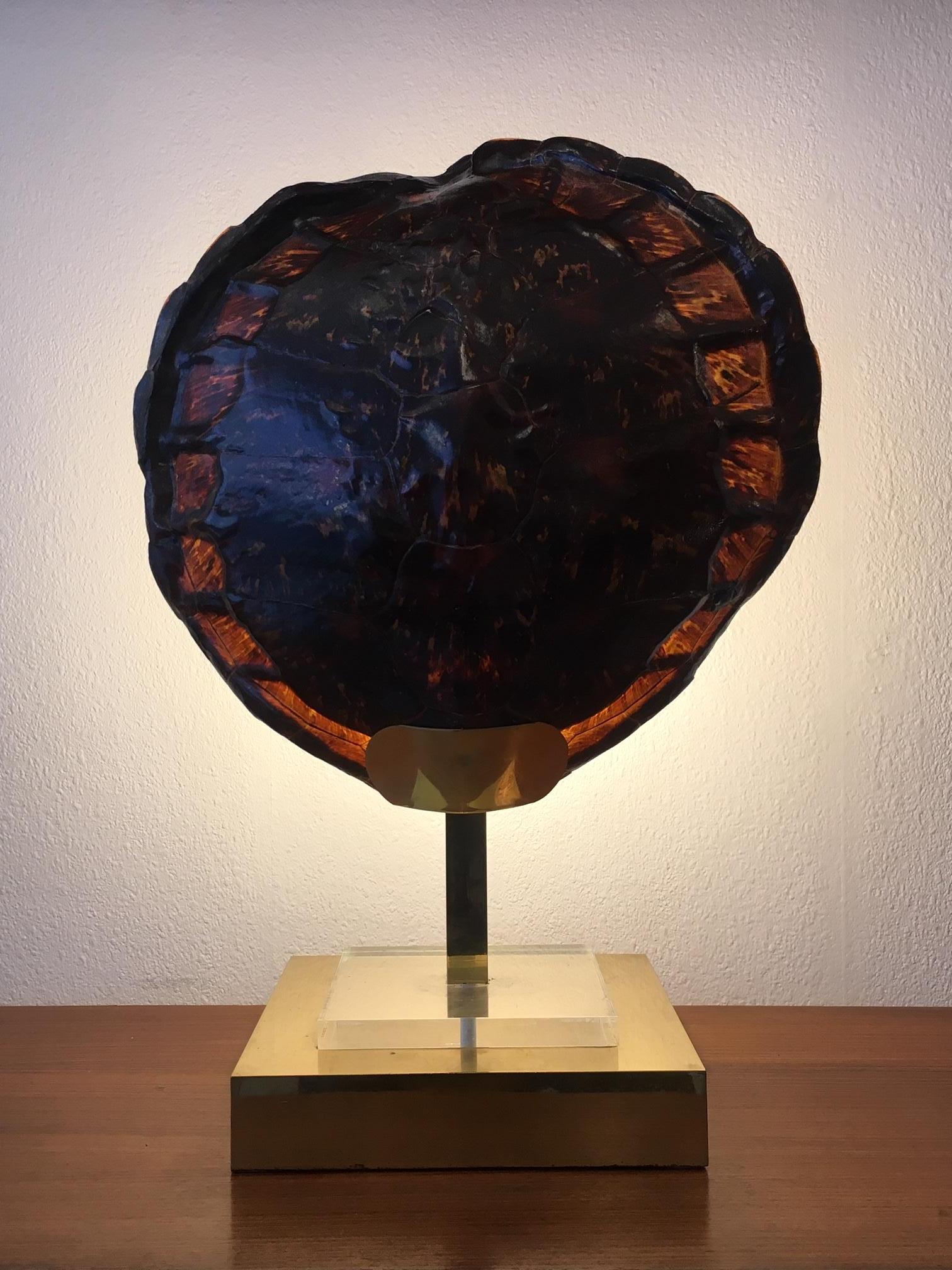 Brass French Turtle Tortoise Shell Table Lamp, circa 1970