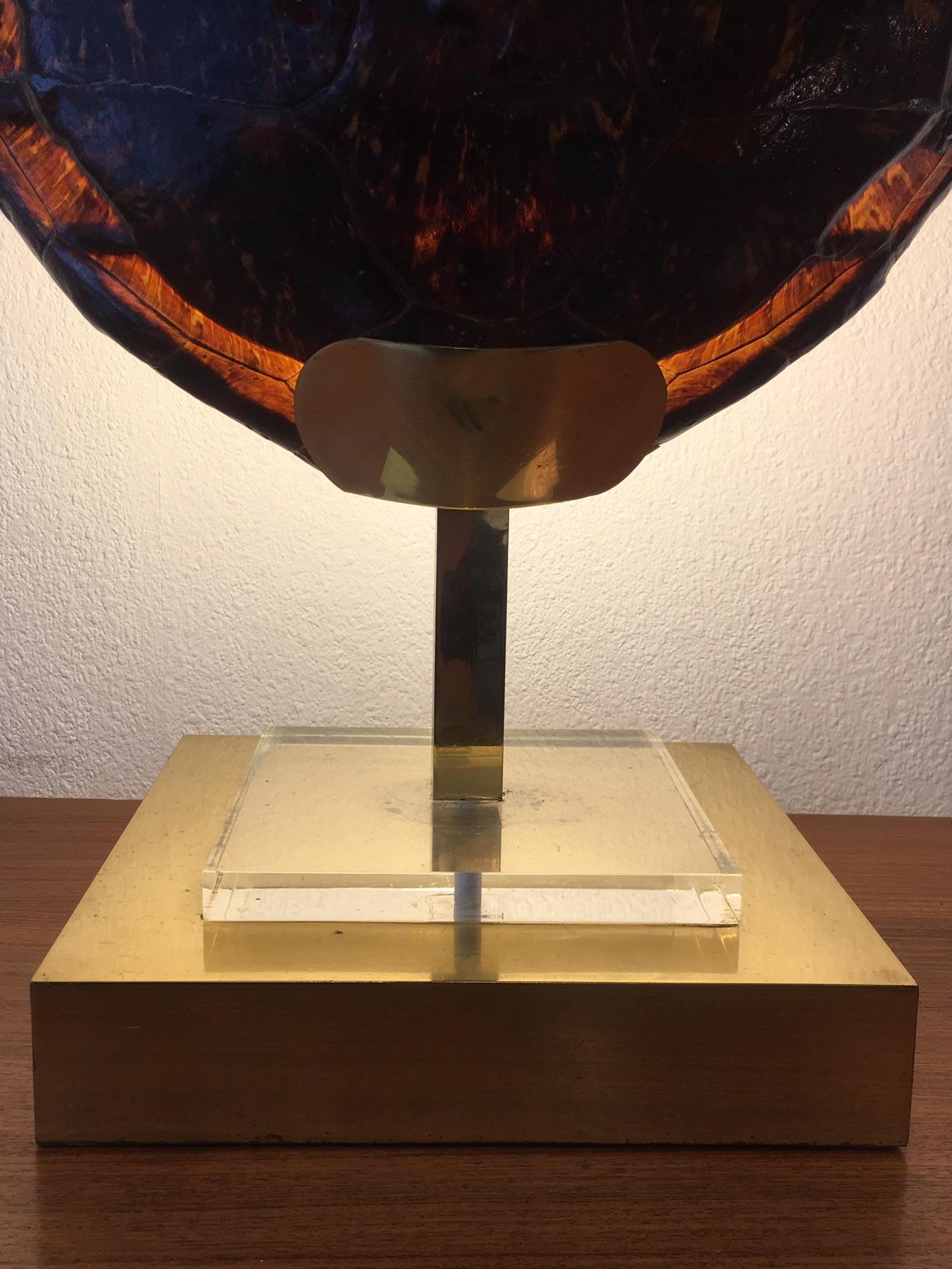 French Turtle Tortoise Shell Table Lamp, circa 1970 1