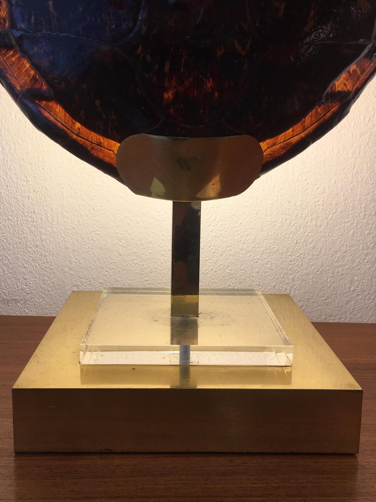 French Turtle Tortoise Shell Table Lamp, circa 1970 2