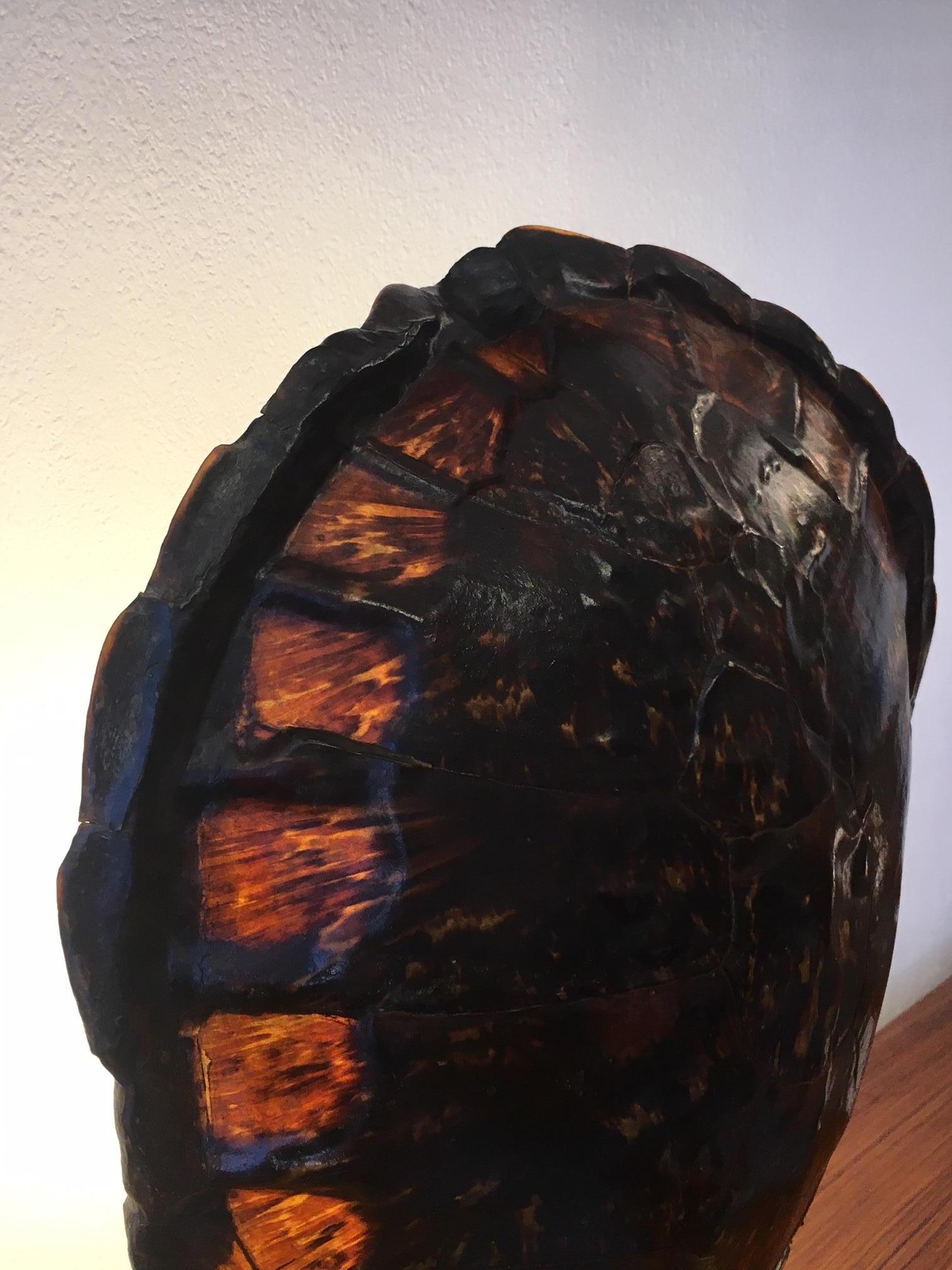 French Turtle Tortoise Shell Table Lamp, circa 1970 2