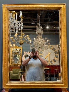 French Transitional Mirror French Transitional Mirror