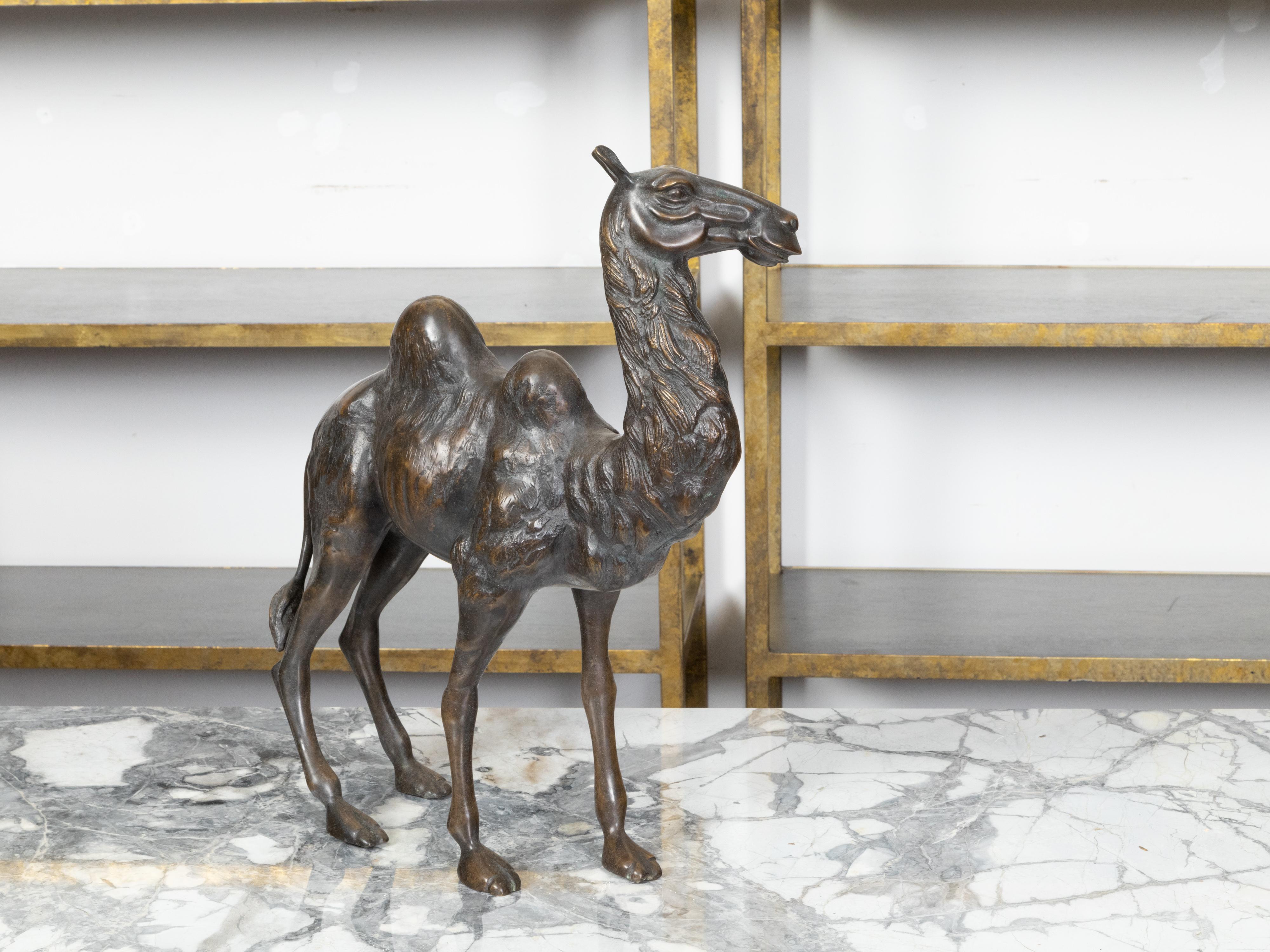 Statuette française du début du siècle en bronze coulé représentant un camel avec une patine foncée, années 1900 Bon état - En vente à Atlanta, GA