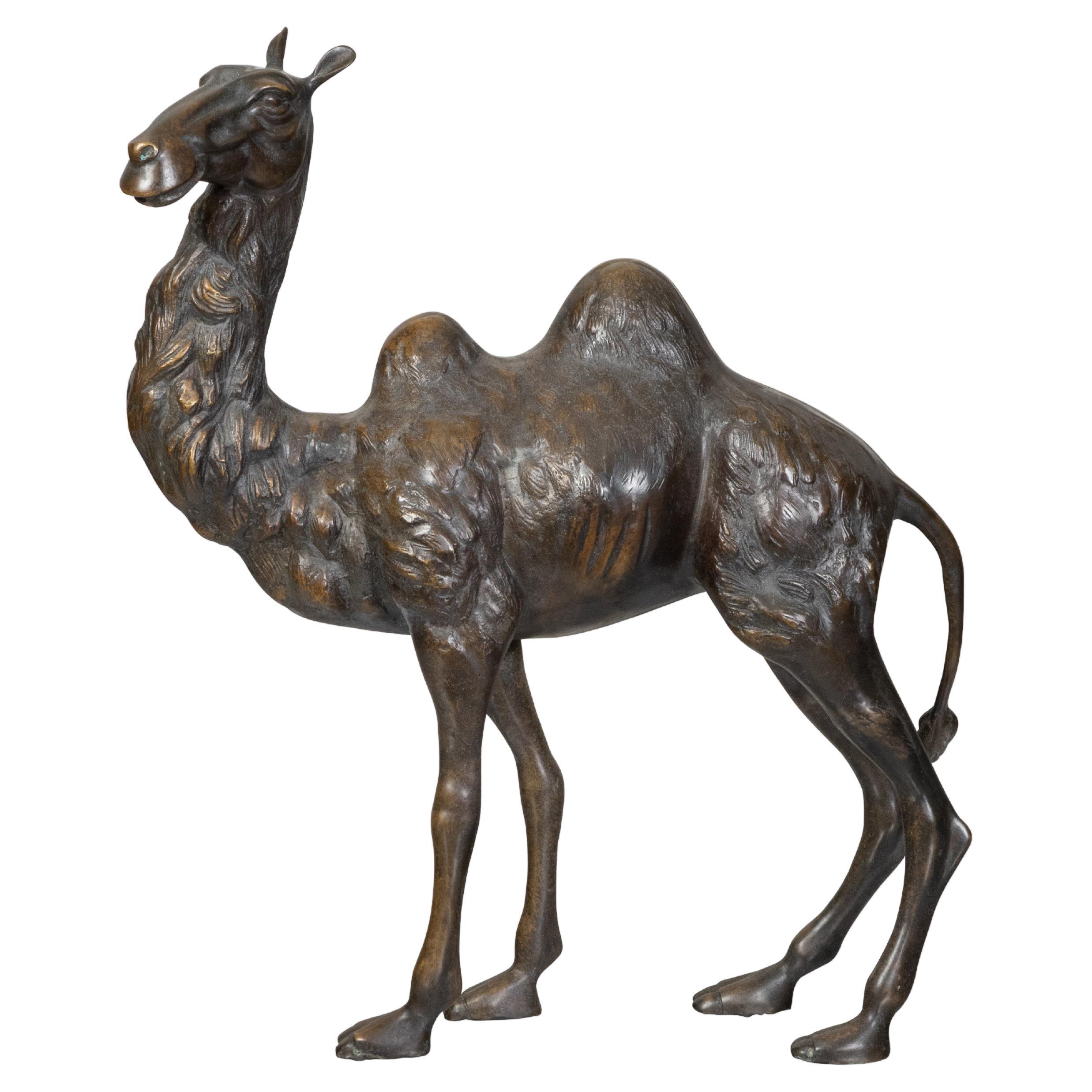 Statuette française du début du siècle en bronze coulé représentant un camel avec une patine foncée, années 1900