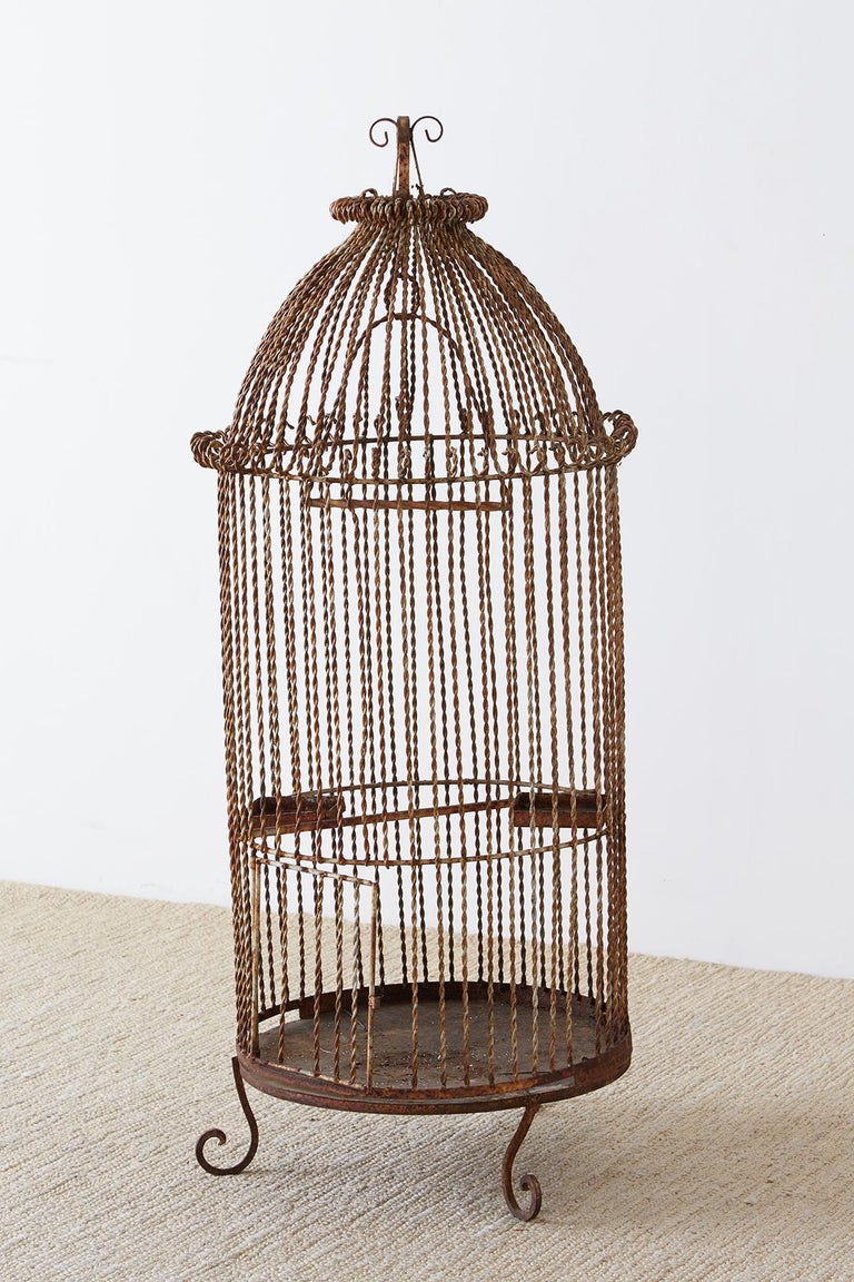 French Twisted Wrought Iron Standing Bird Cage at 1stDibs
