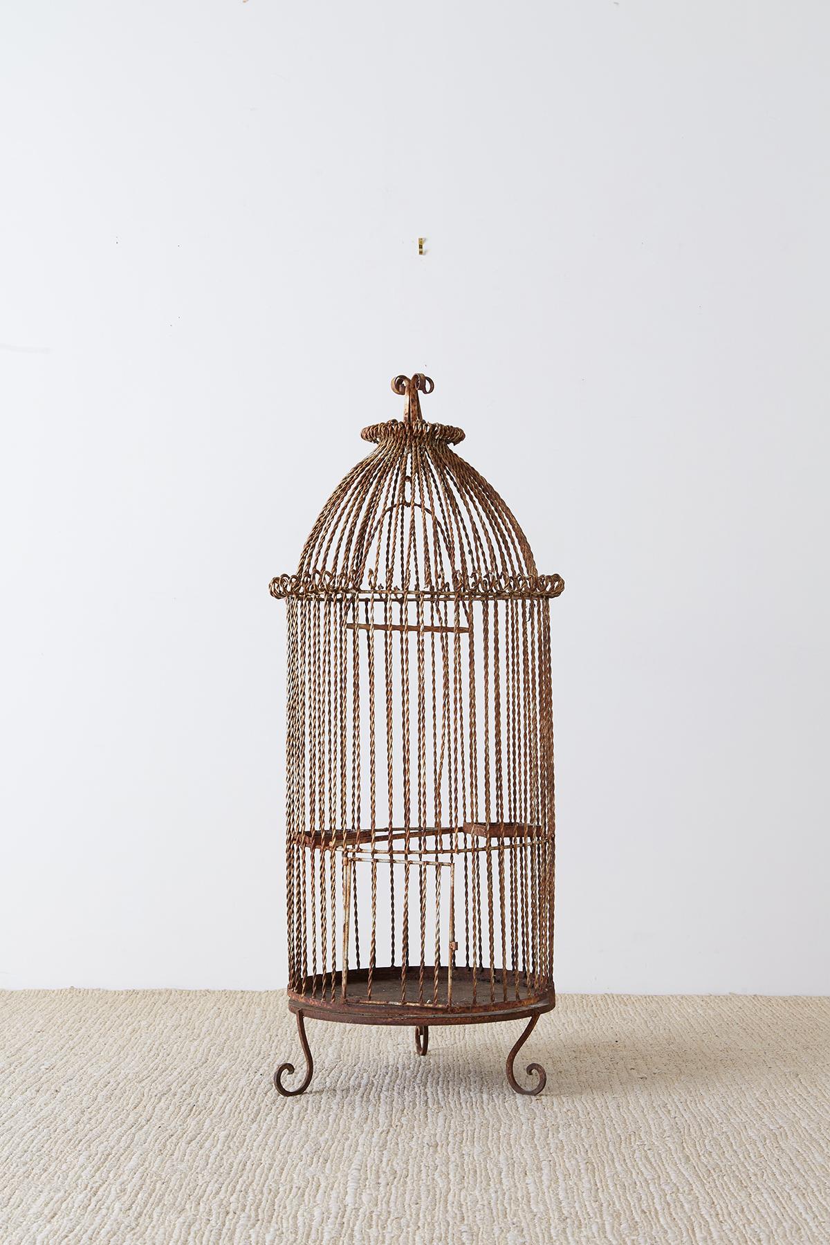 French Twisted Wrought Iron Standing Bird Cage 4