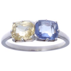 French Two-Stone Toi et Moi Sapphire Platinum Ring