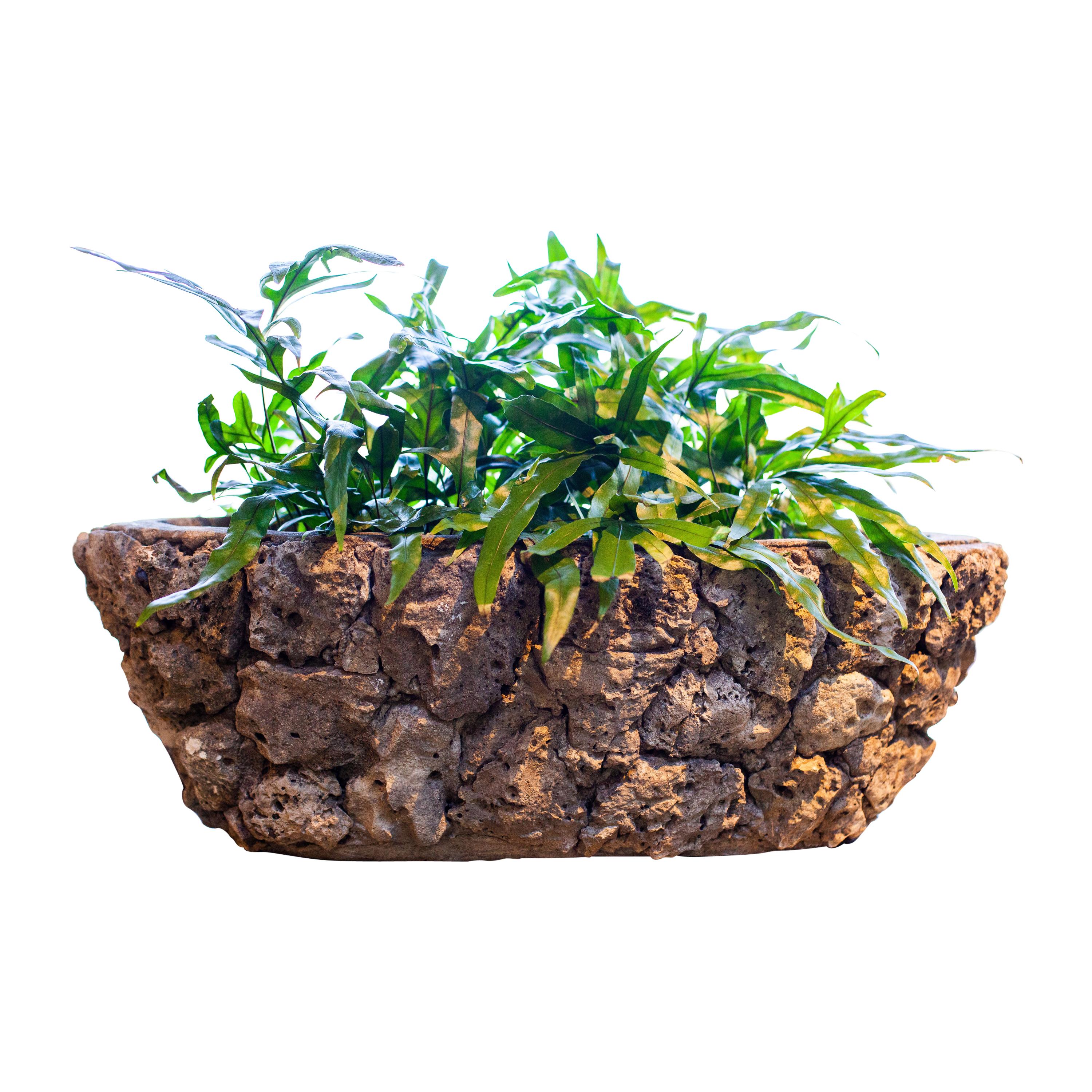 What are Versailles planters?