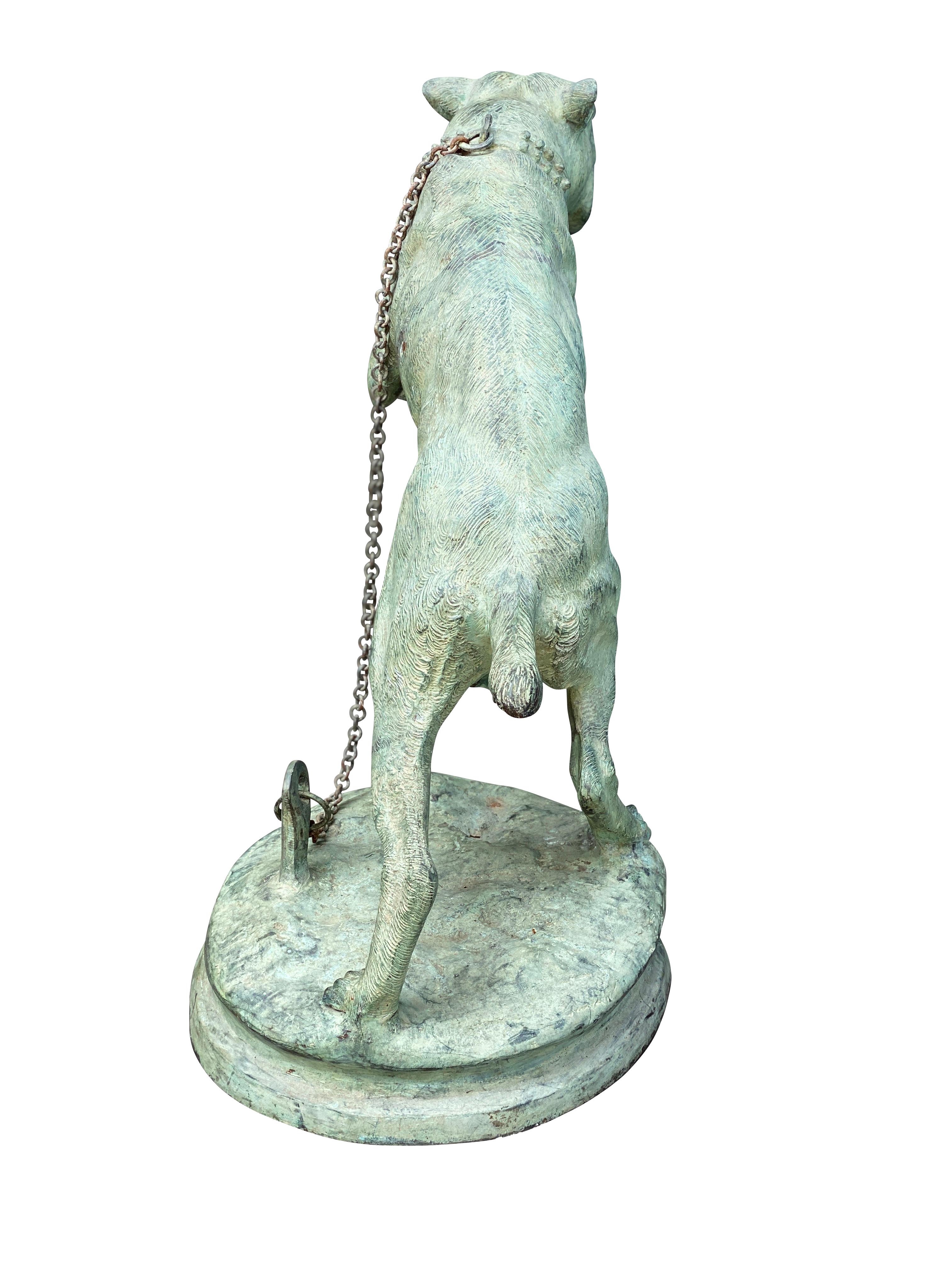 Français Sculpture de jardin d'un Mastiff en bronze du Vertigris français en vente