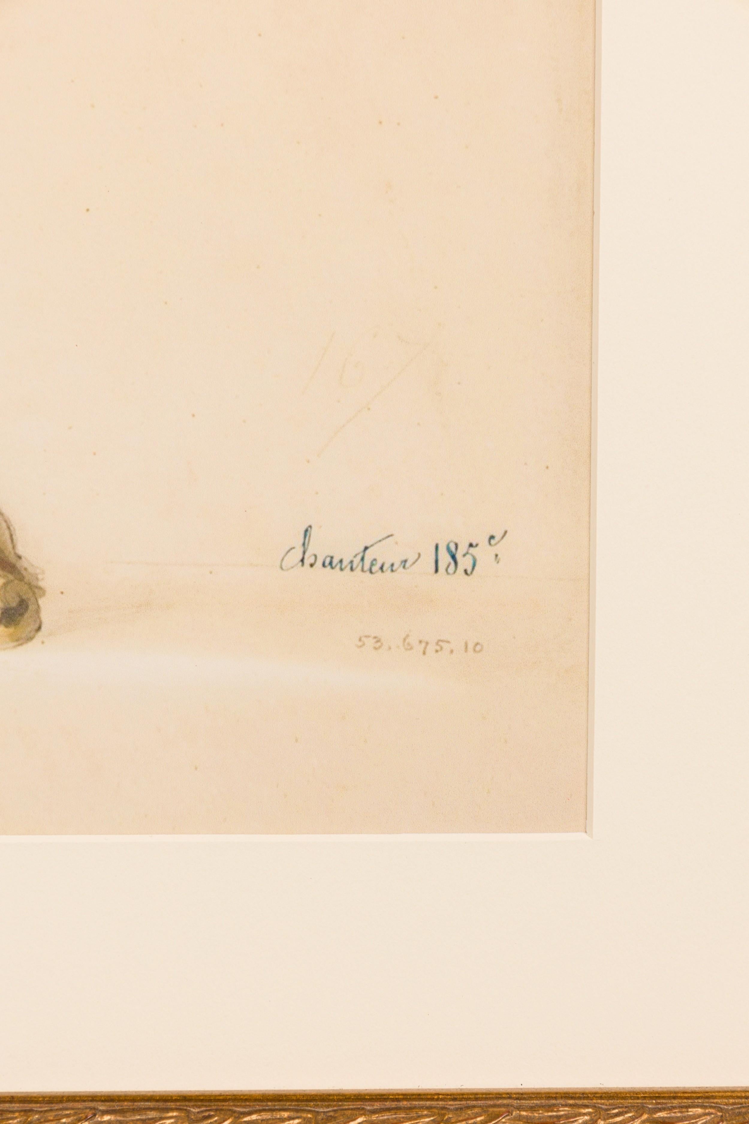 French Victorian Colored print of a Vase (19. Jahrhundert) im Angebot