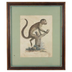 French Victorian Monkey Engraving Print