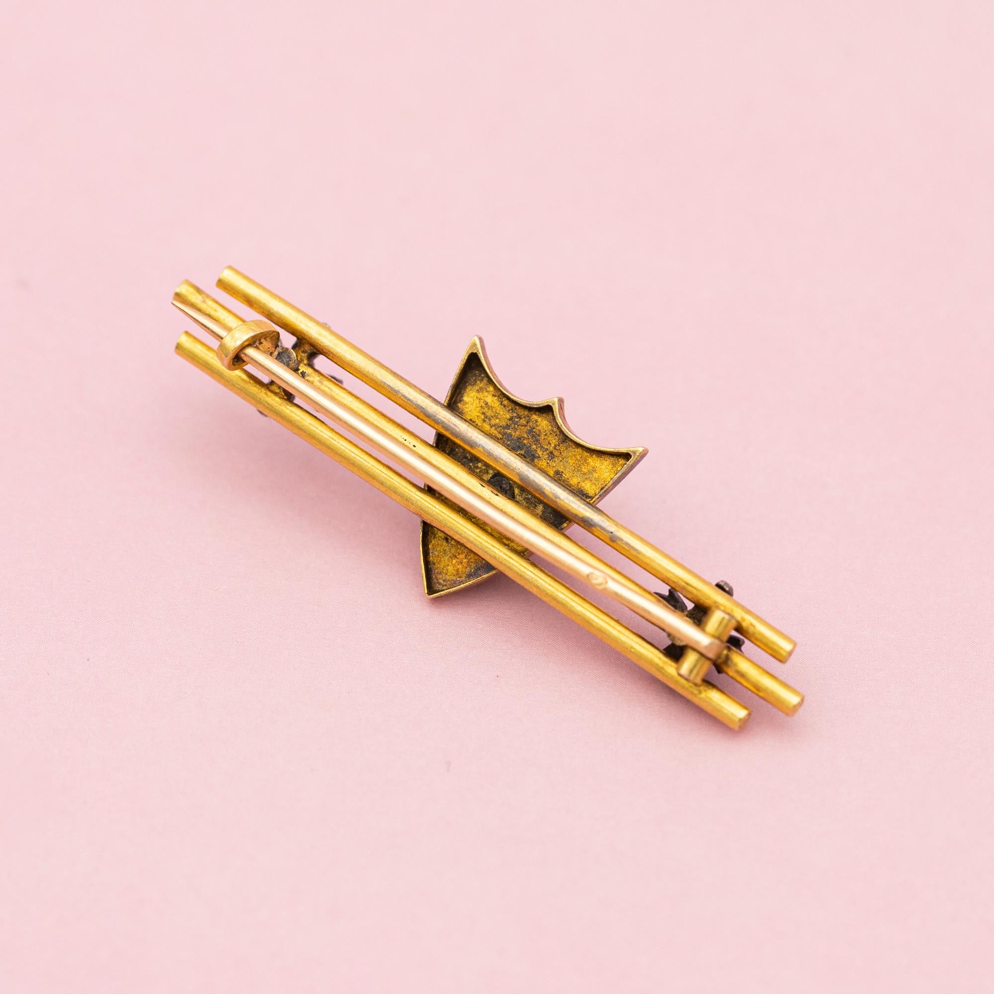 French Victorian Ruby Ladybug Brooch - Antique 18k gold animal brooch - Insect 3