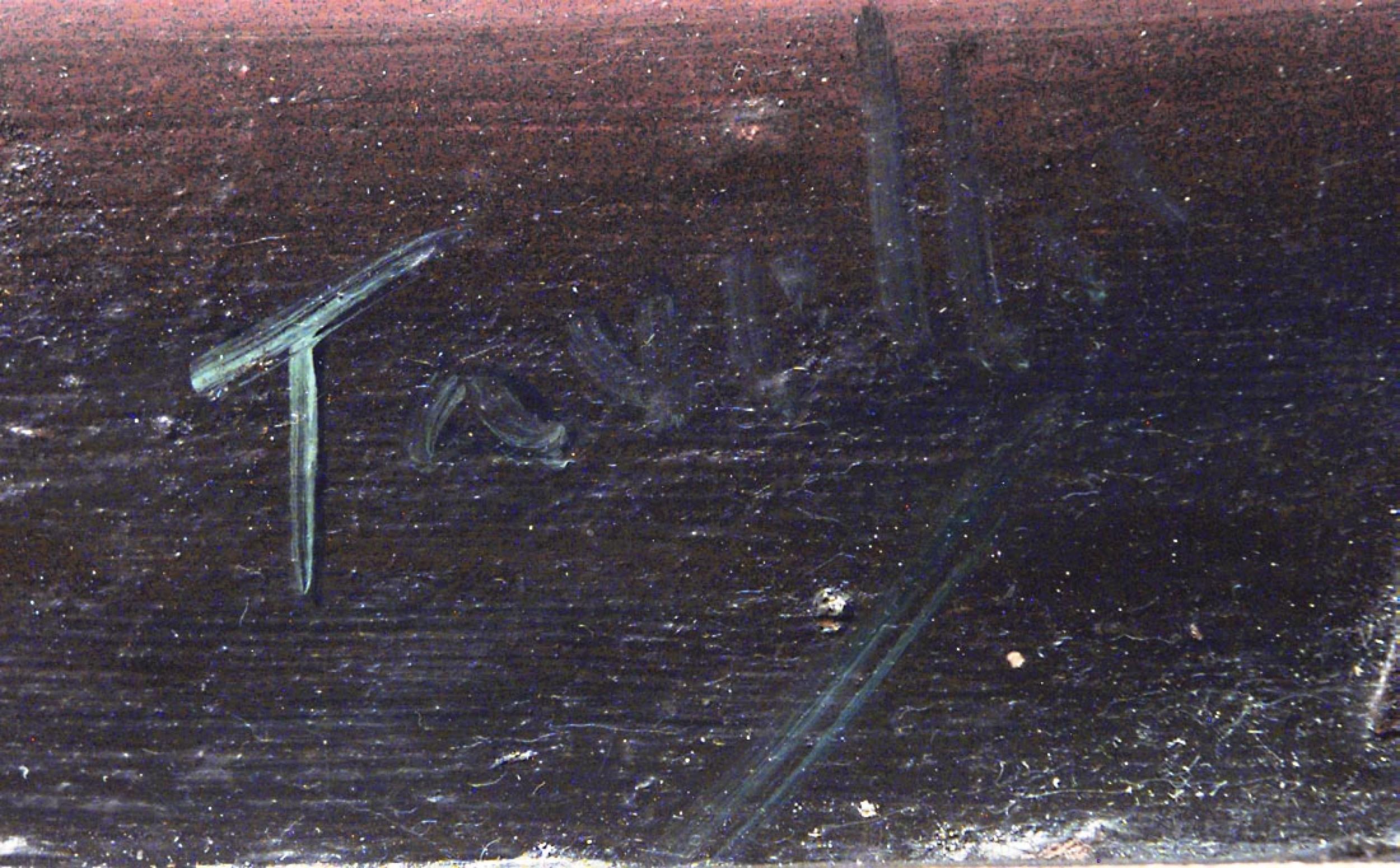 Quadro di natura morta su tavola in stile vittoriano francese (XX secolo) con cornice dorata, raffigurante dei girasoli.