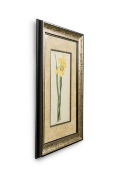 French Victorian Watercolor Abstract Print of a Iris Monnieri Flower