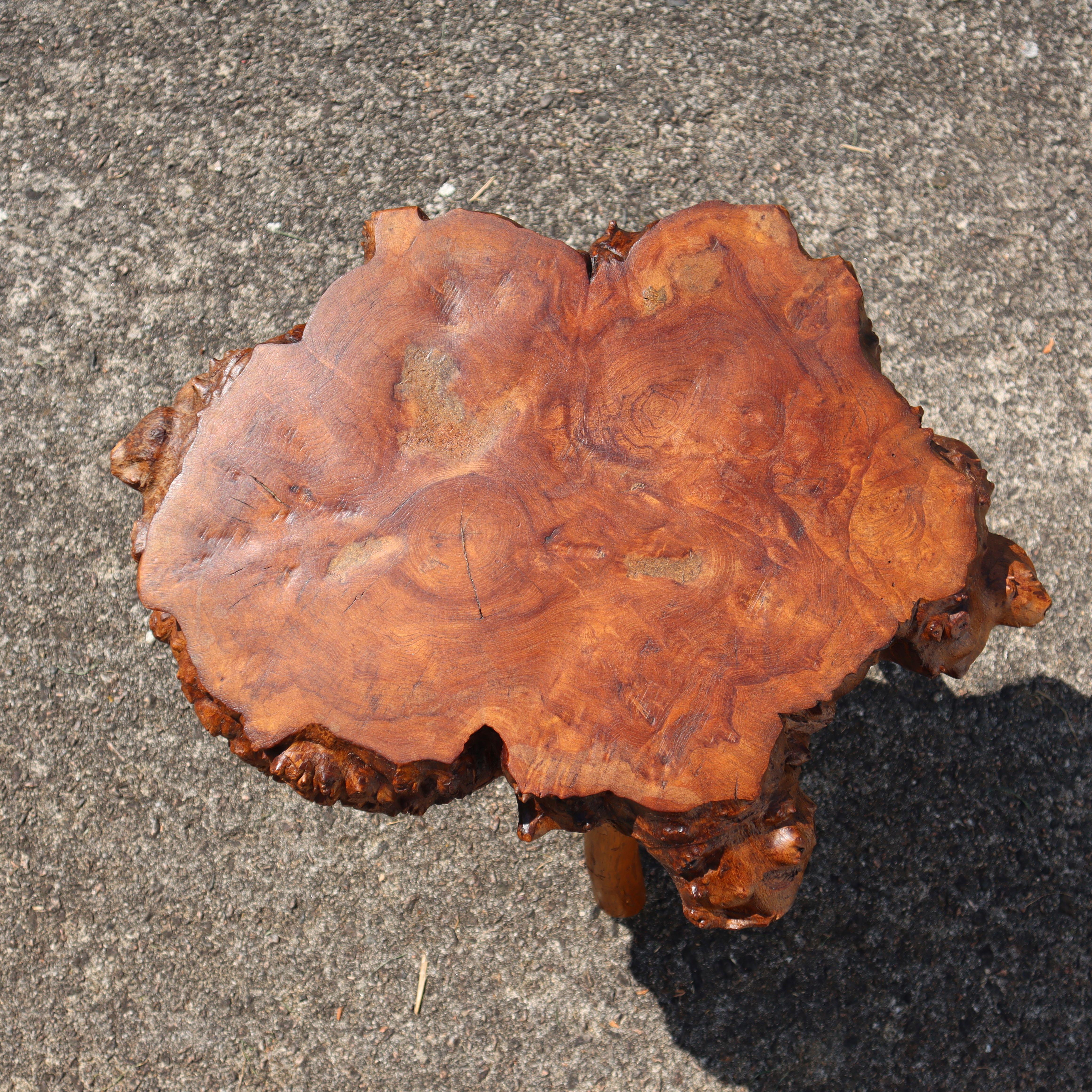 French vintage Brutalist Tree Trunk Elm Wood Side Table- Coffee Table-50s For Sale 3