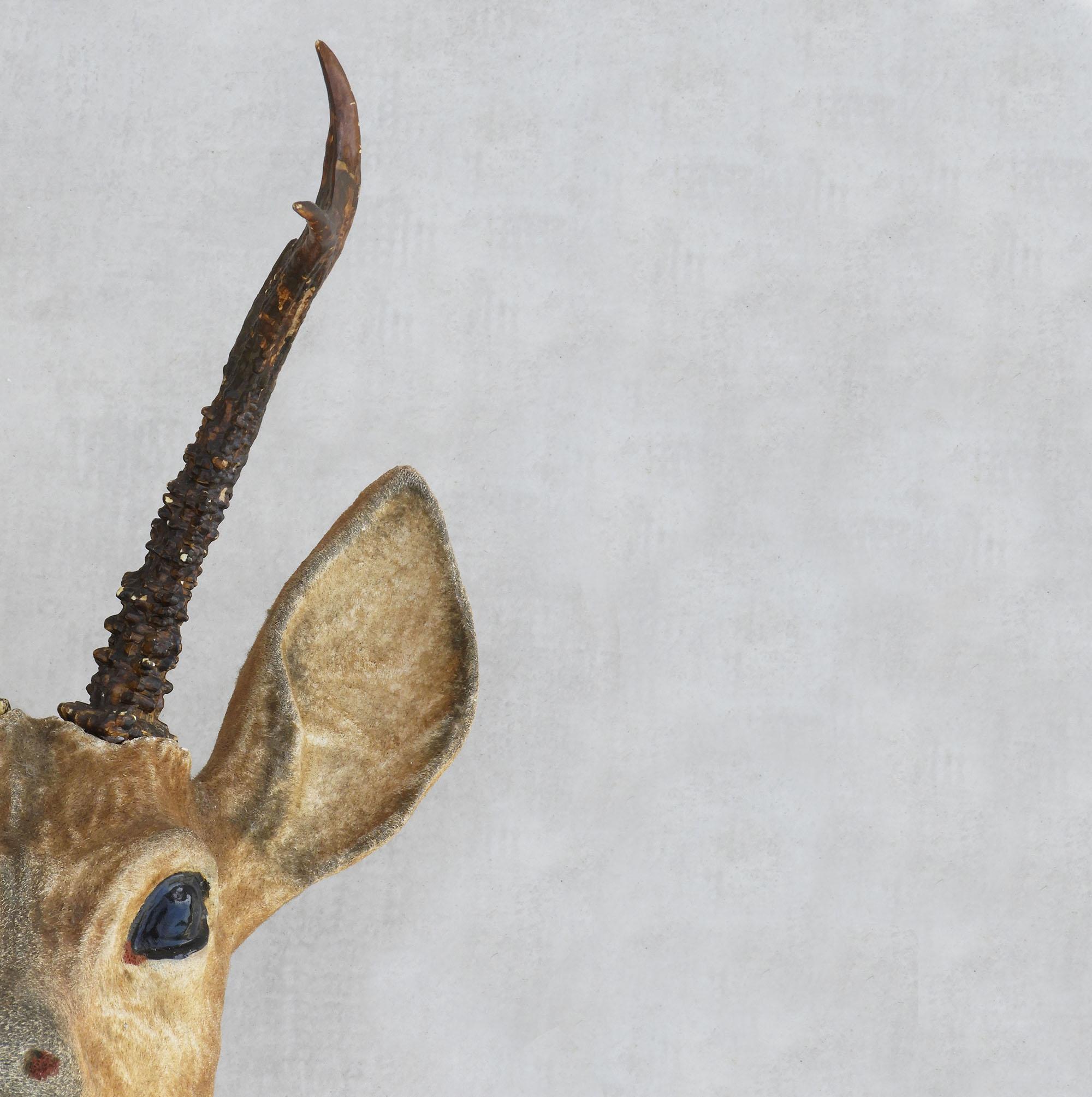 French vintage deer head decorative wall plaque “Faux Taxidermy” C1950

Vintage “Faux Taxidermy” deer head wall plaque c1950s France. 
A marvellously realistic depiction of a young buck’s head, superbly modelled in plaster with a felted texture