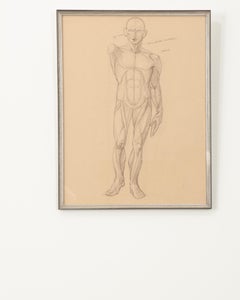 French Vintage Framed Anatomical Sketch