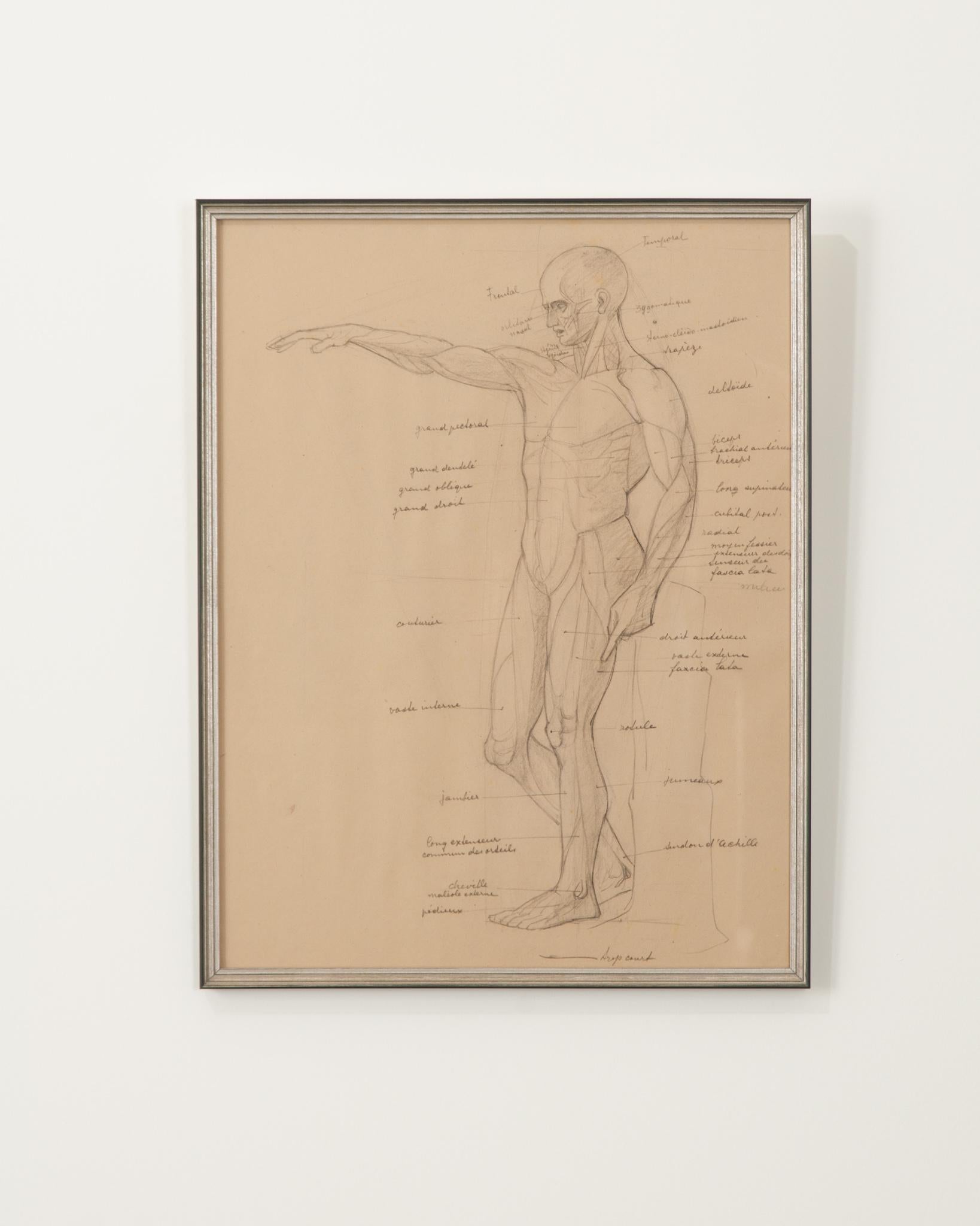 Elevate any space with this unique hand-drawn work of art. Done with pencil on paper- this is an anatomically correct excerpt from a student's figure study sketchbook from the early 20th century. Purchased in France, it has been recently