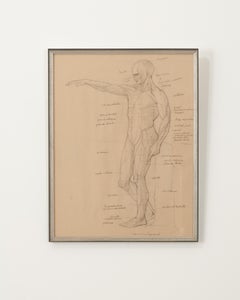 French Vintage Framed Anatomical Sketch