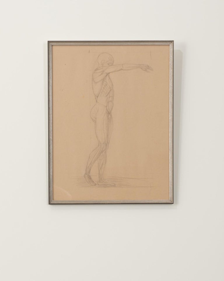 French Vintage Framed Anatomical Sketch For Sale at 1stDibs