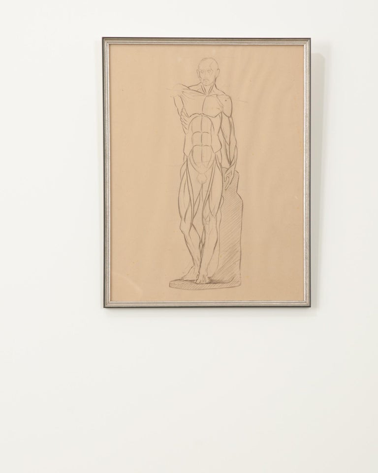French Vintage Framed Anatomical Sketch For Sale at 1stDibs