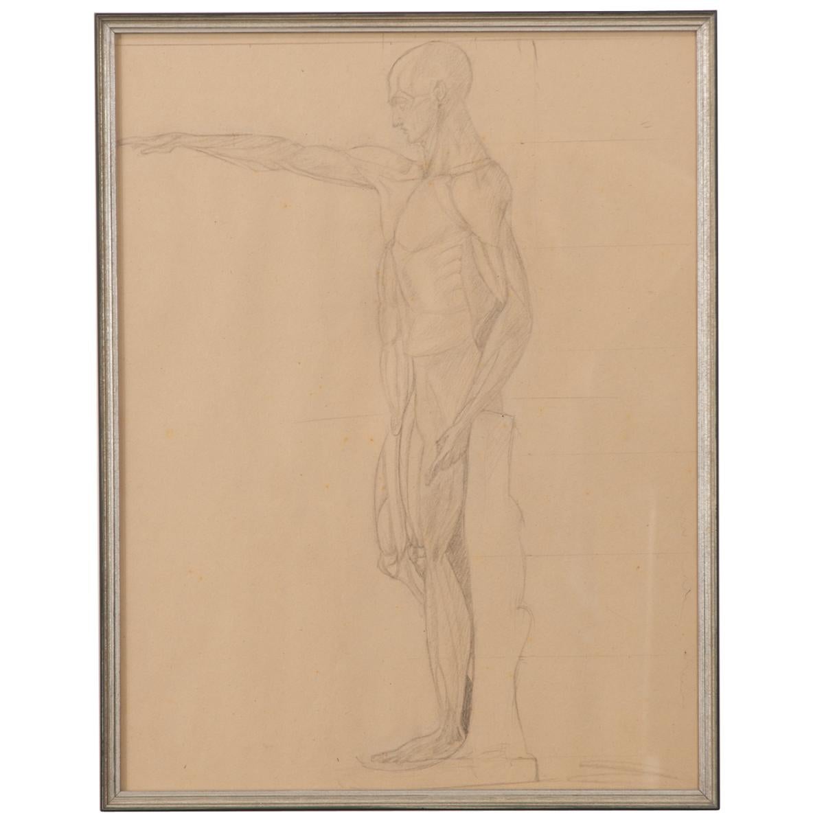 Framed Anatomische Skizze im Vintage-Stil, gerahmt (Sonstiges) im Angebot