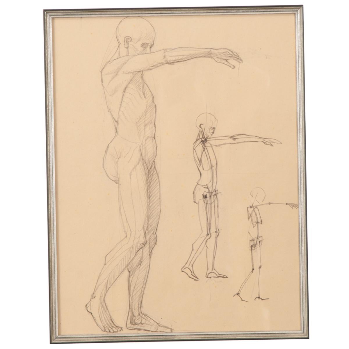 Autre Sketch anatomique français vintage encadré en vente