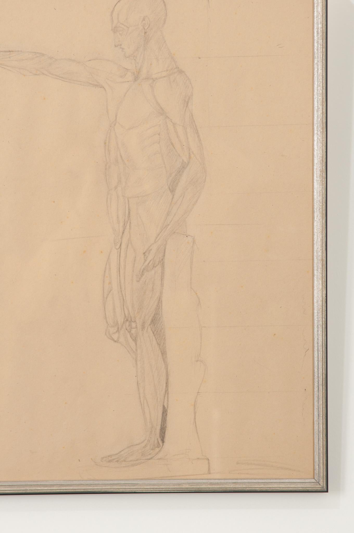French Vintage Framed Anatomical Sketch In Good Condition For Sale In Baton Rouge, LA