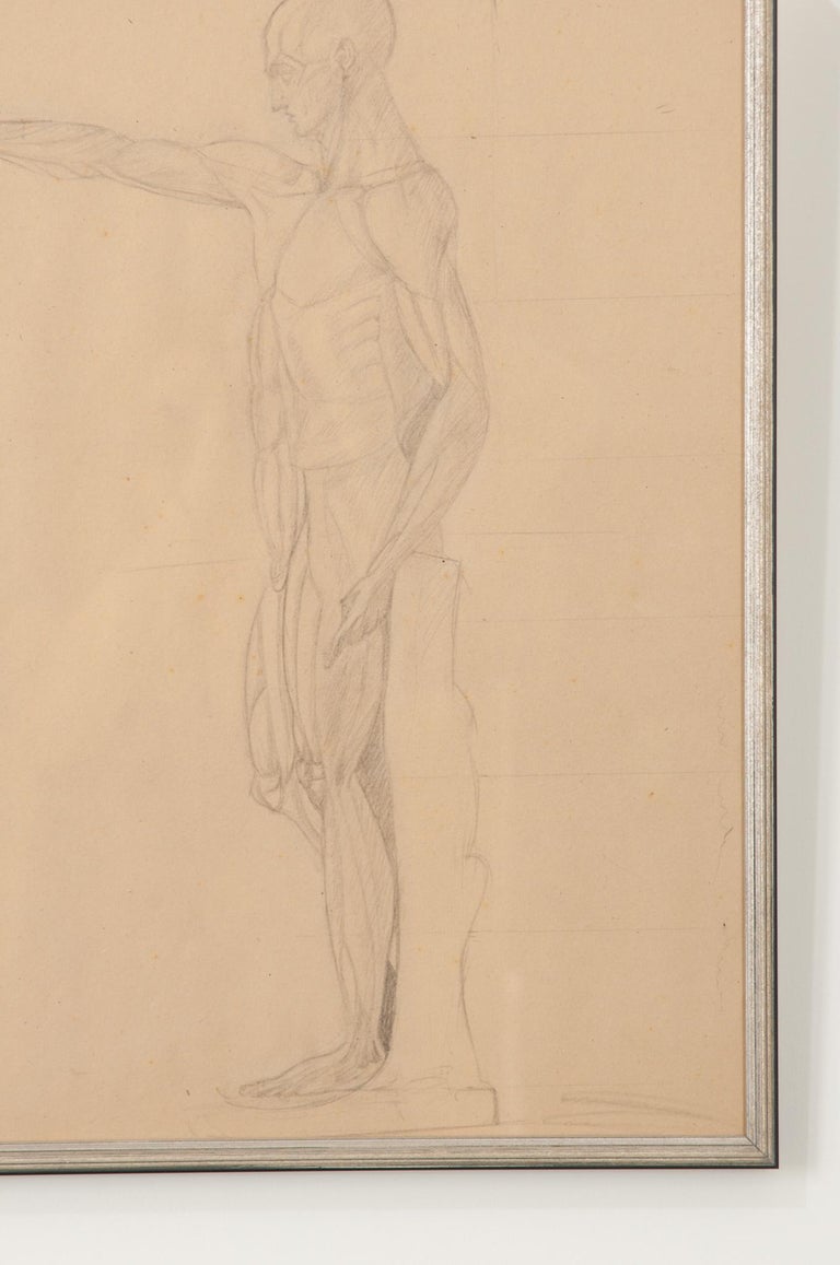 French Vintage Framed Anatomical Sketch For Sale at 1stDibs