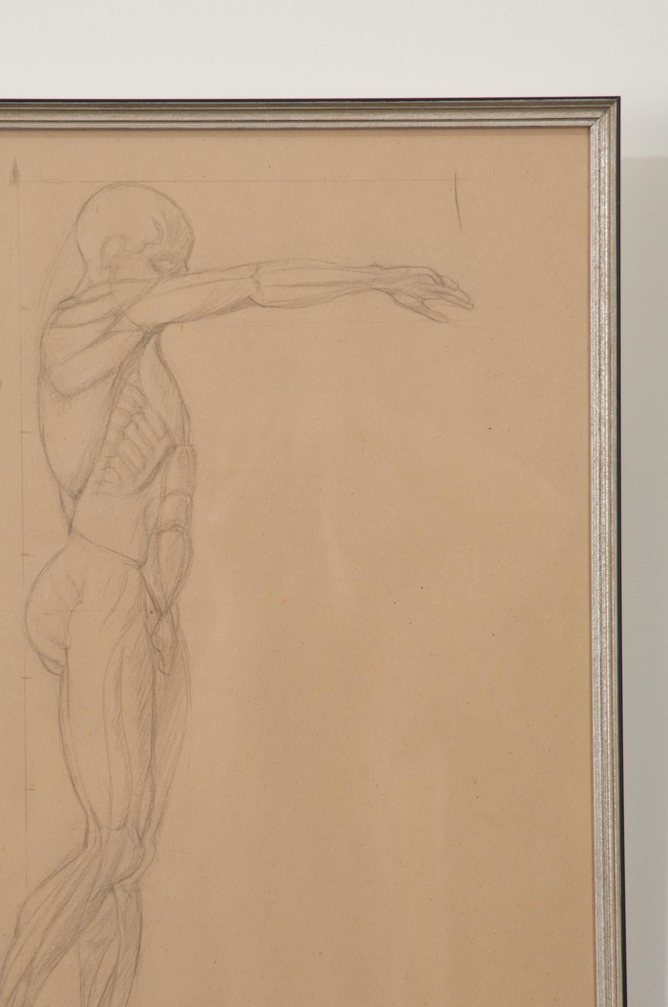 Framed Anatomische Skizze im Vintage-Stil, gerahmt (Französisch) im Angebot